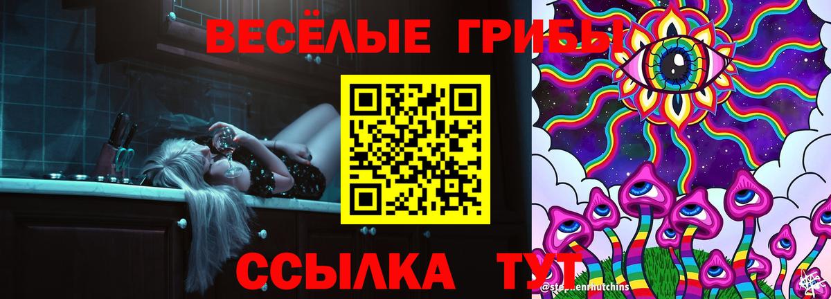 Псилоцибиновые грибы GOLDEN TEACHER  Вход с VPN  Карабулак 