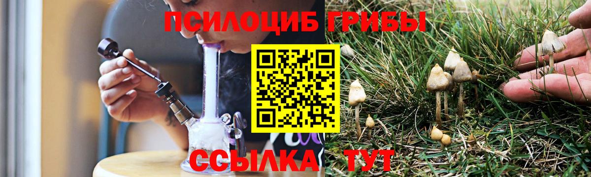Галлюциногенные грибы ЛСД Карабулак